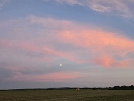 Sződ