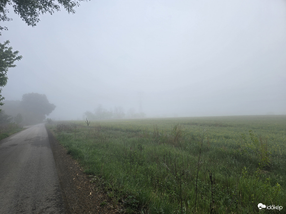 Sződ