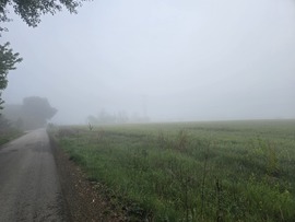 Sződ