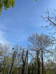 Budapest II.ker - Szépilona