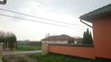 Enese