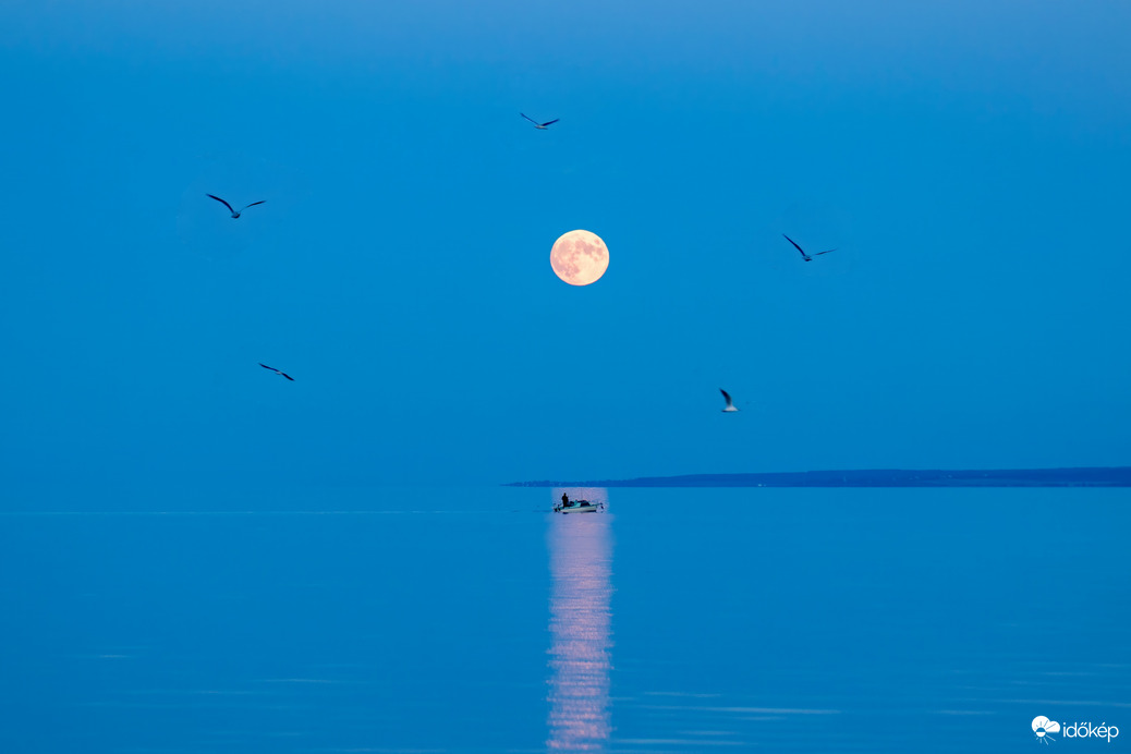 Balatoni holdkelte