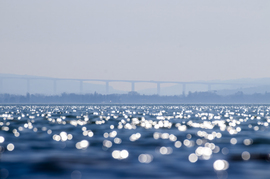 Kora tavaszi kékség