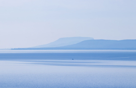 Kora tavaszi kékség