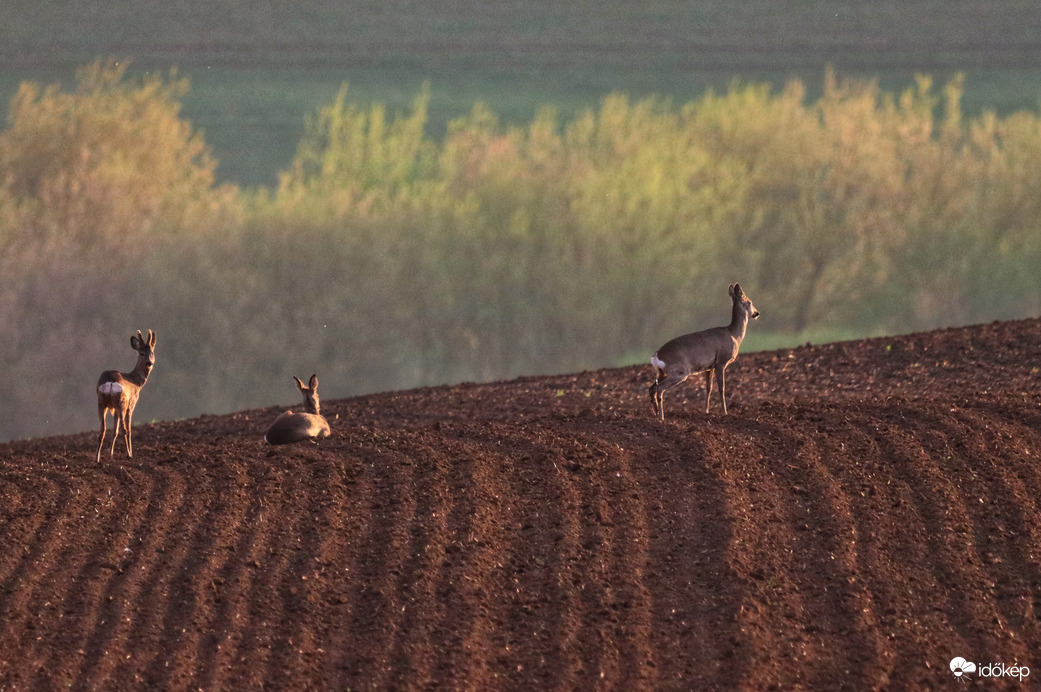 Reggeli Mátra-lába