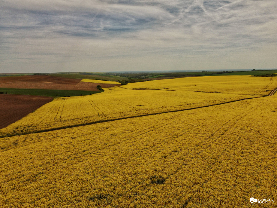 Sárgaság a Mátra lábánál