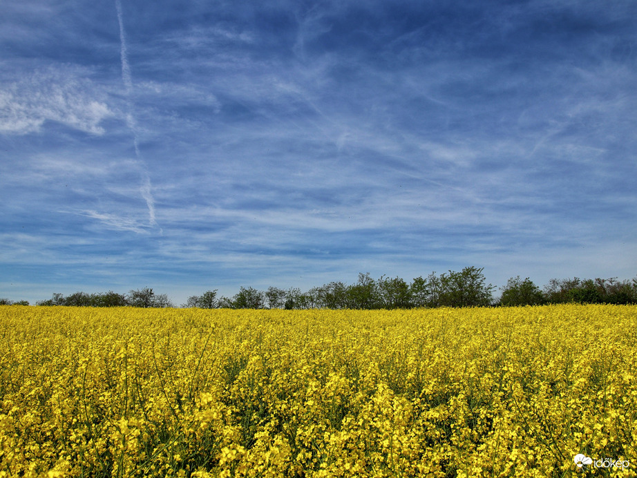 Sárgaság a Mátra lábánál