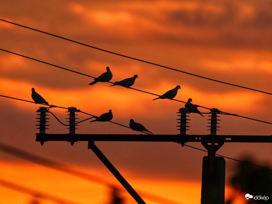 Vasárnapi koránkelés