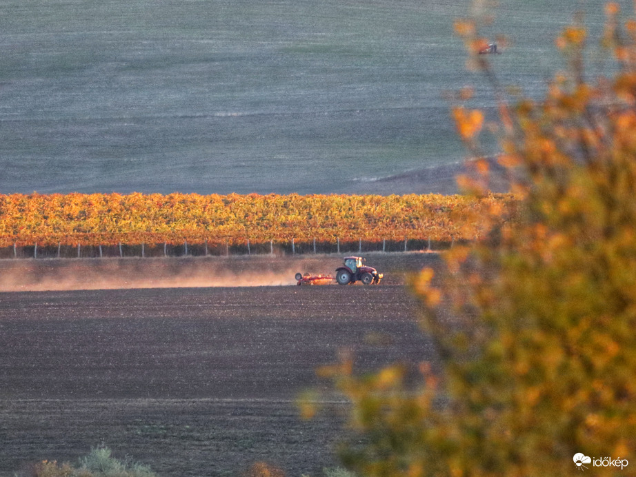 Vasárnapi koránkelés