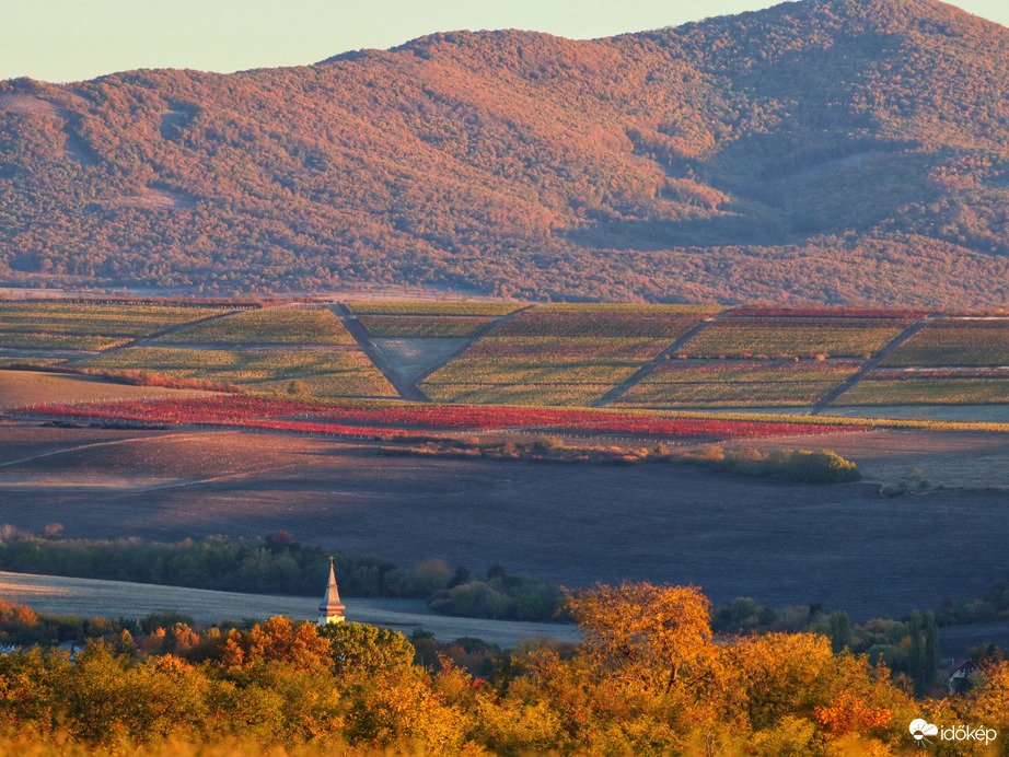 Vasárnapi koránkelés