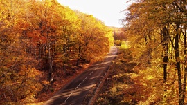 Kékestető kiszínesedett