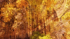 Kékestető kiszínesedett