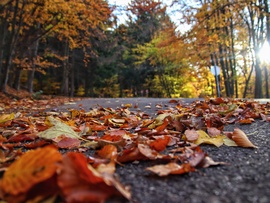 2025 ősz, Kékestetőn