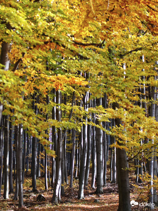 2025 ősz, Kékestetőn