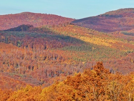 2025 ősz, Kékestetőn