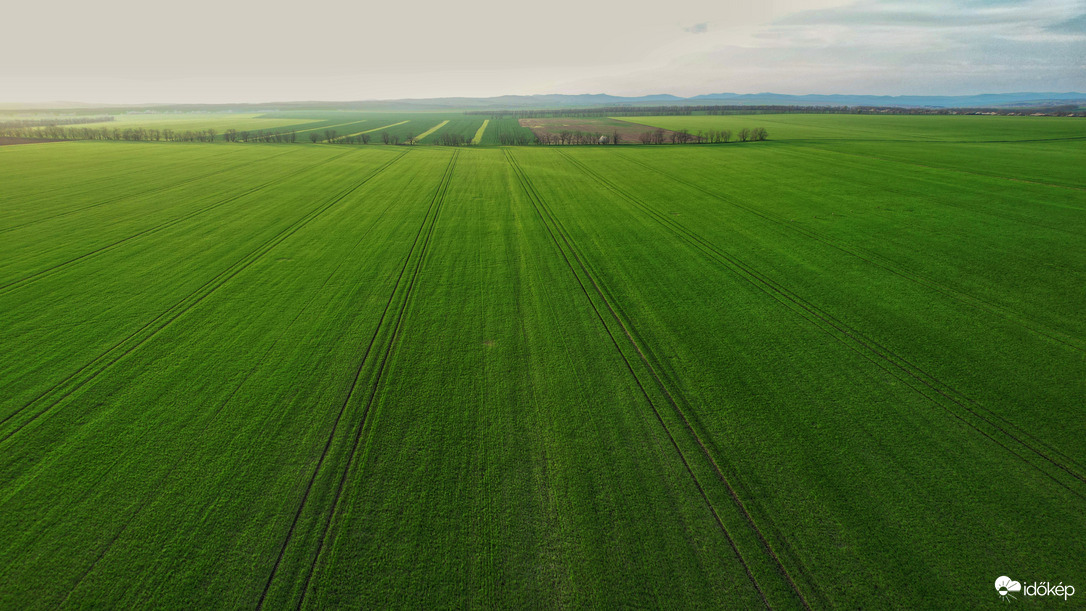 Zöld csíkok a végtelenbe..