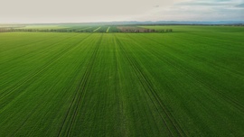 Zöld csíkok a végtelenbe..