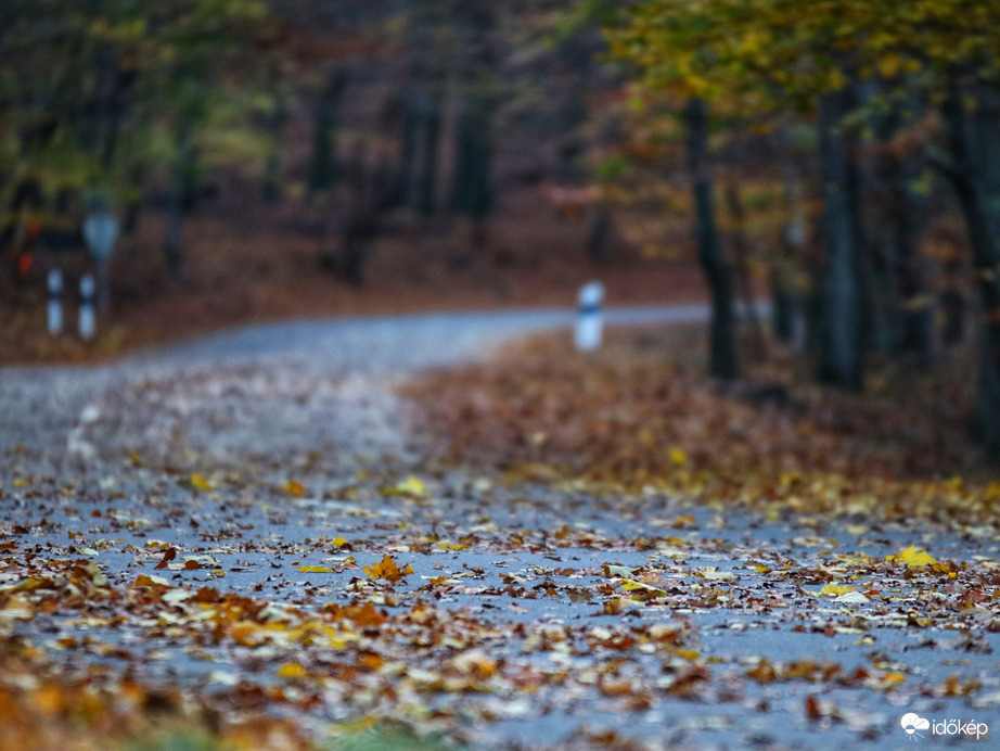 Ez már nem nyár...