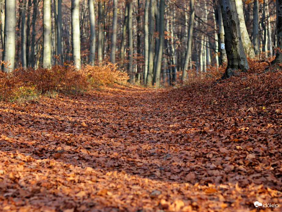 Ez már nem nyár...