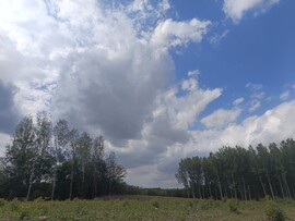Ceglédbercel