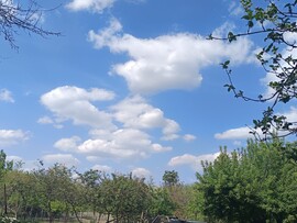 Ceglédbercel