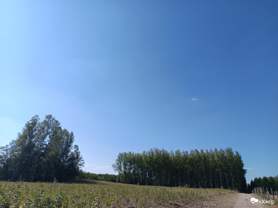 Ceglédbercel