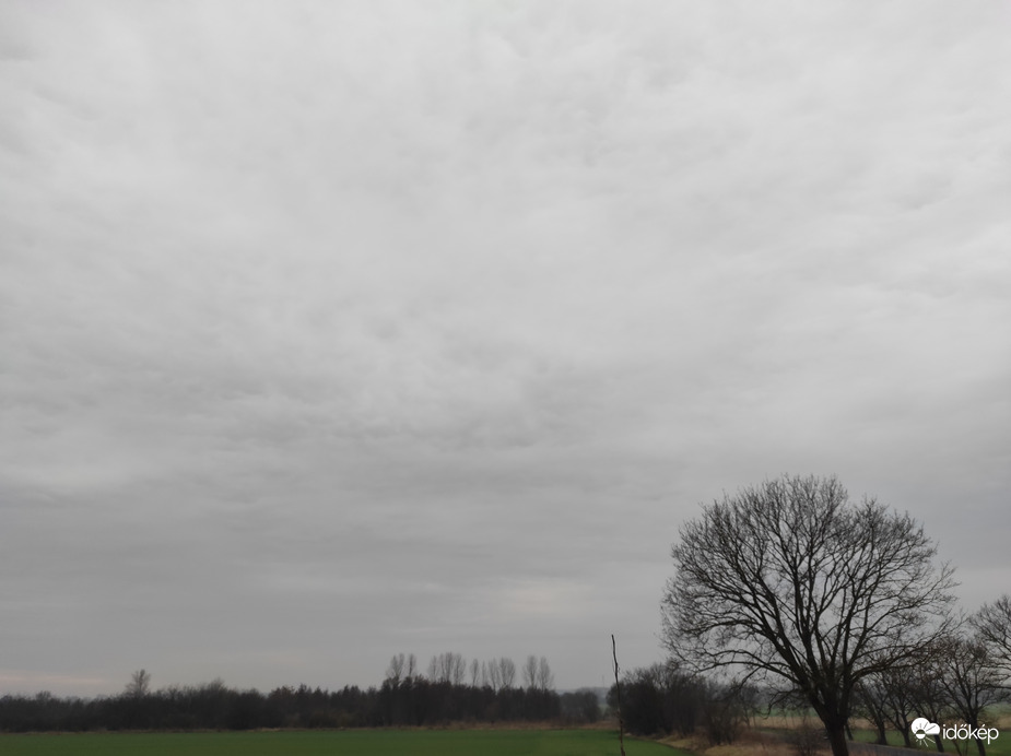 Kóka