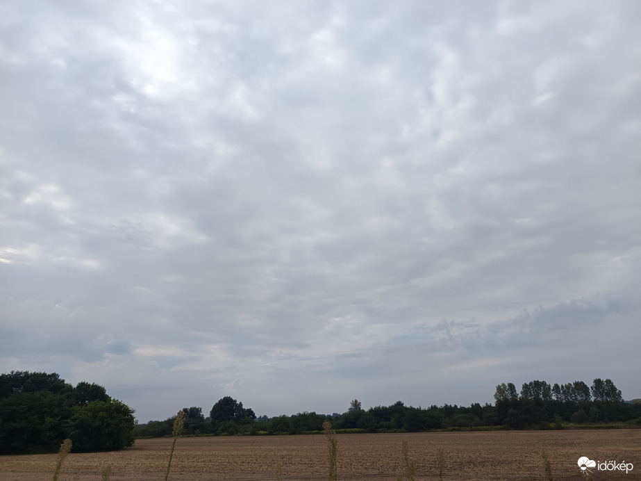 Kóka