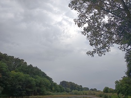Penyige