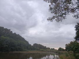 Penyige