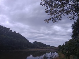 Penyige