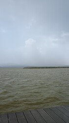 Gárdony