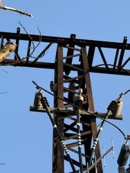 Esztergomi vaskopáncs