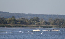Idilli találkozó 