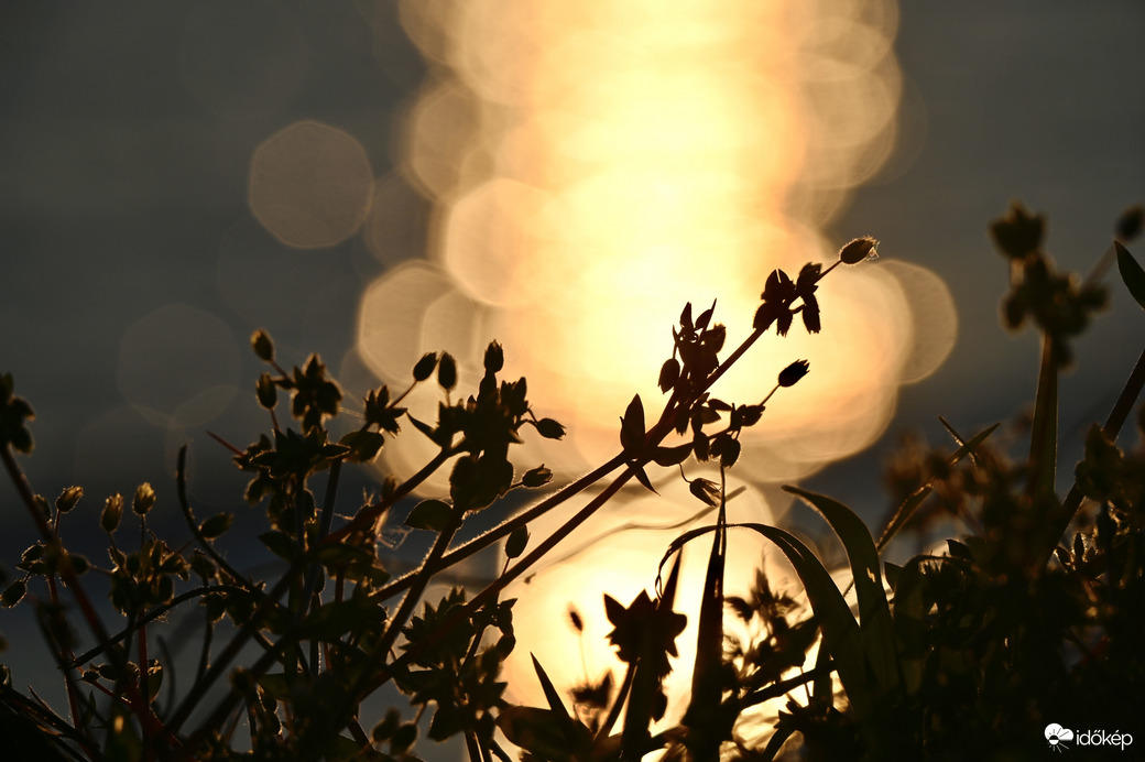 Tyúkhúr is lehet szép 