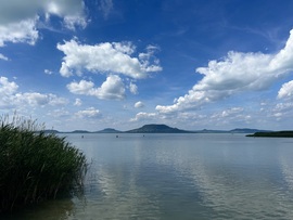 Kékítő 