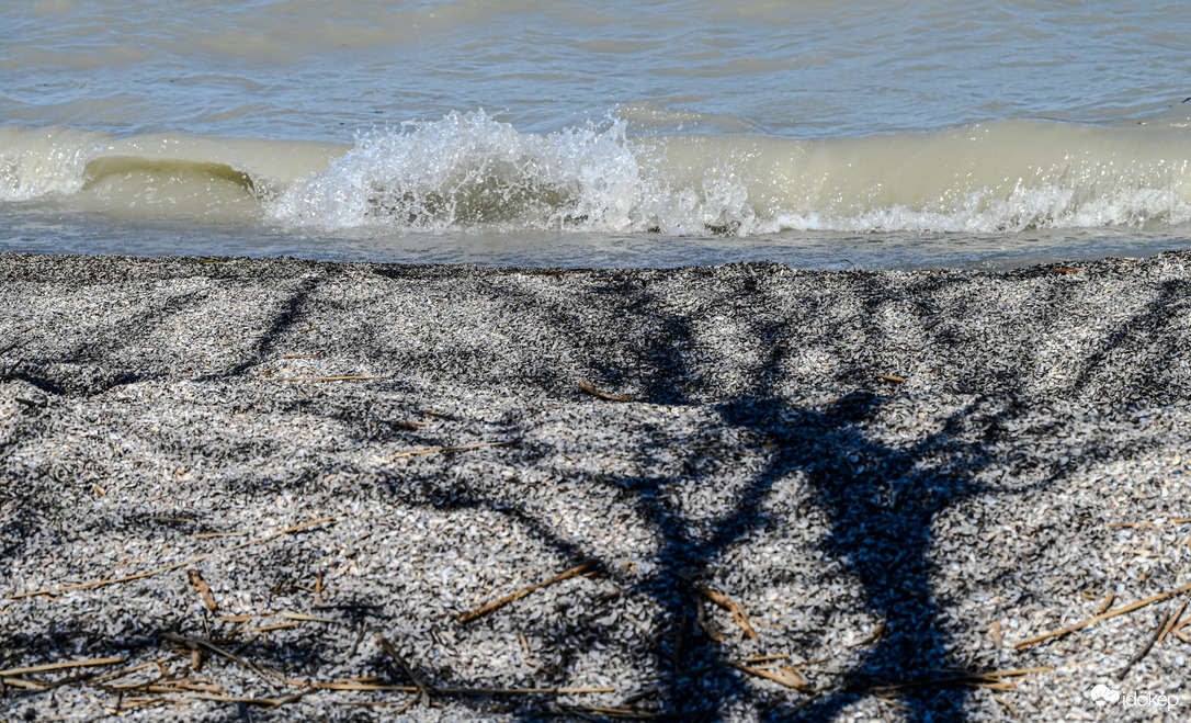 Fények árnyékok hullámok 