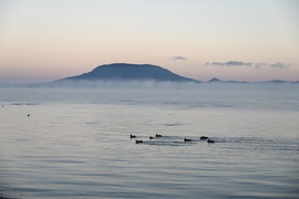 Fagyos reggeli bujócska 
