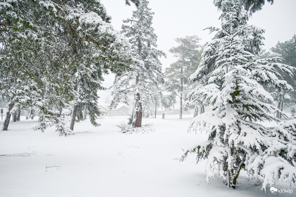Balatonfenyves havas fenyői  