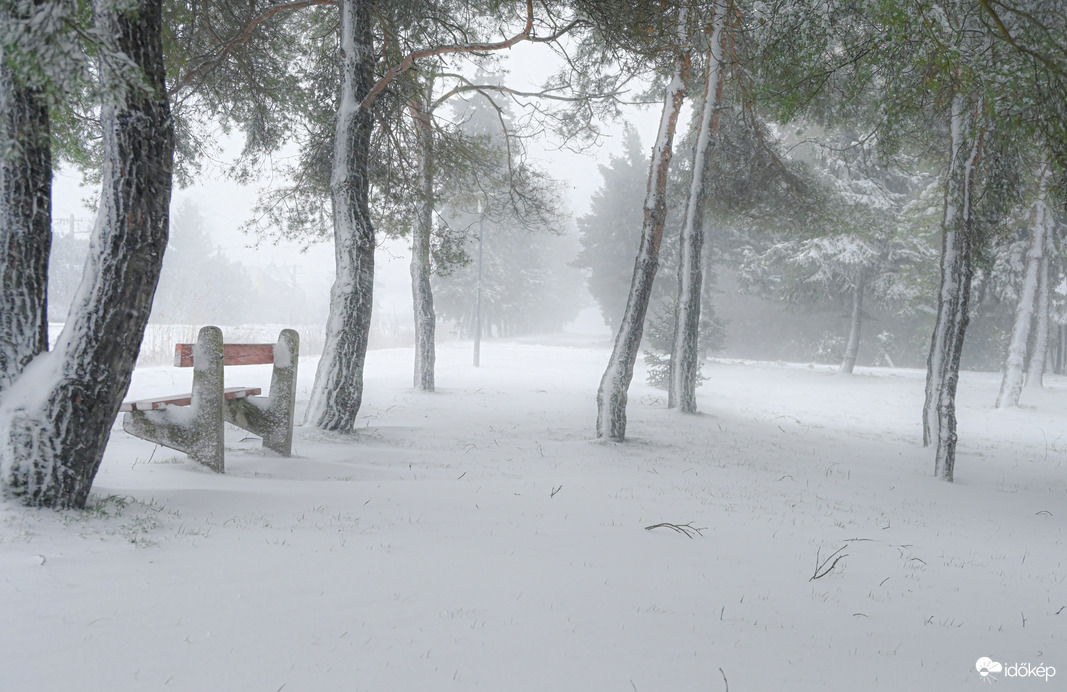 Gyertek sétálni , ülőhely is van. Pihenni is lehet 