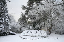 Balatonfenyves mosolya 