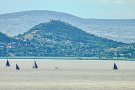 stamikata fotója