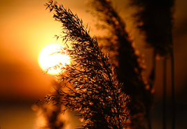 Varázslatos búcsú 