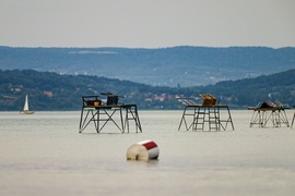 stamikata fotója