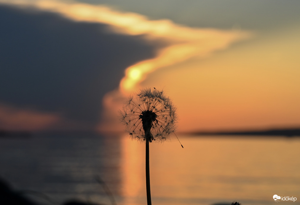 Pár másodperc múlva előbújt a nap….. 