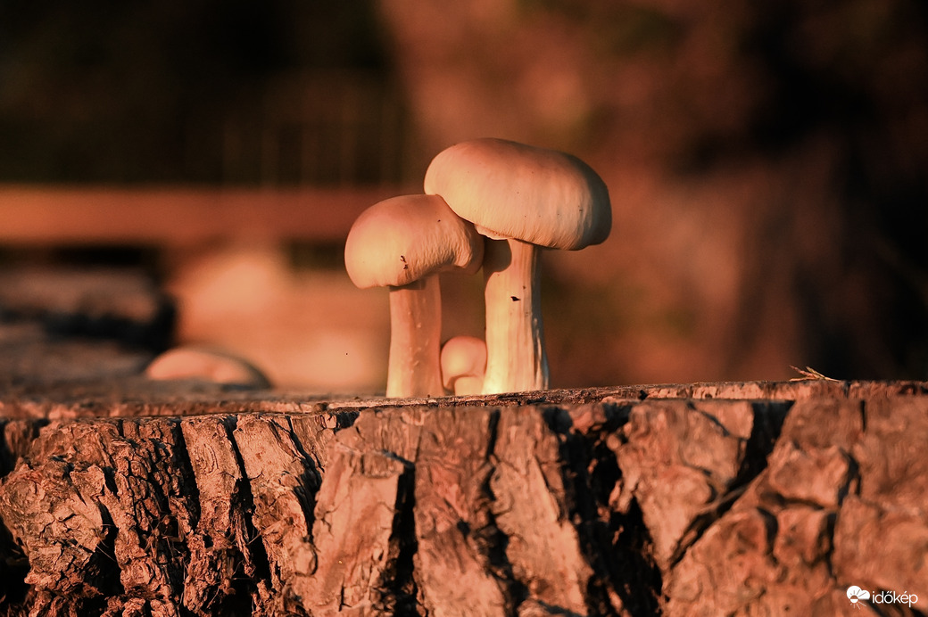 Kis család a parton 