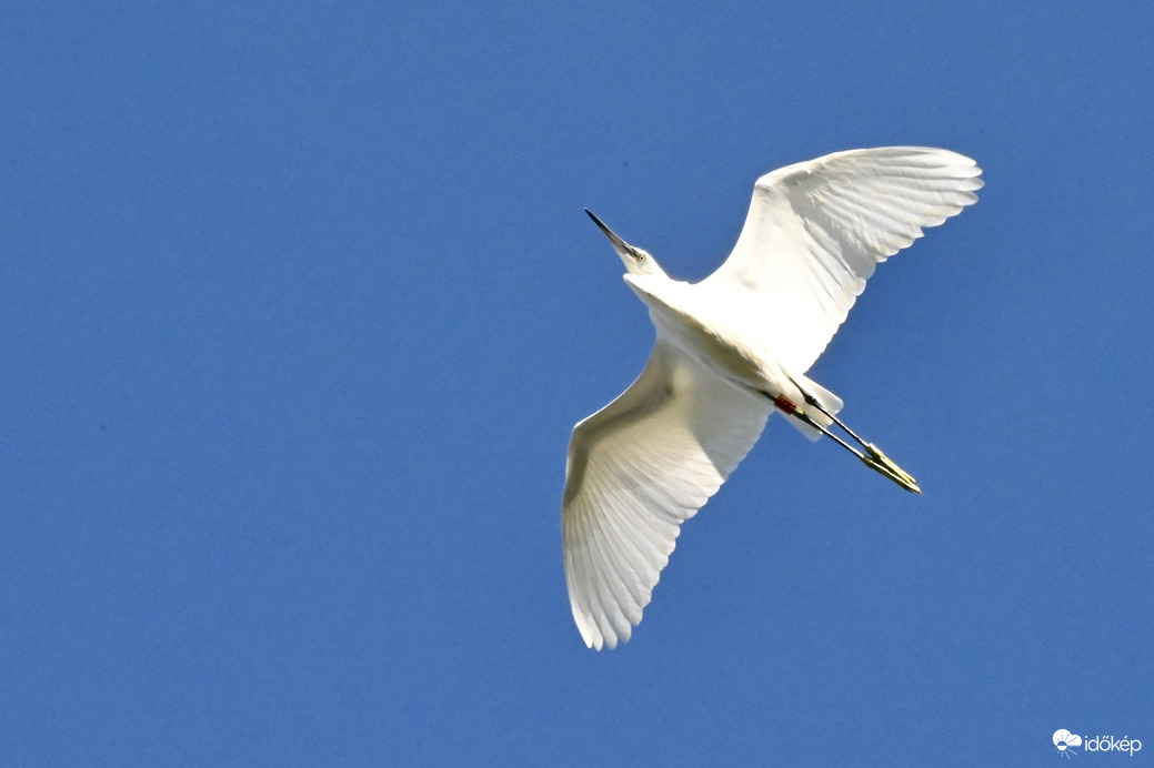 Szállj az ég felè 