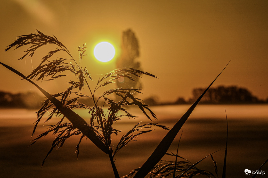 Napfelkelte páràban 