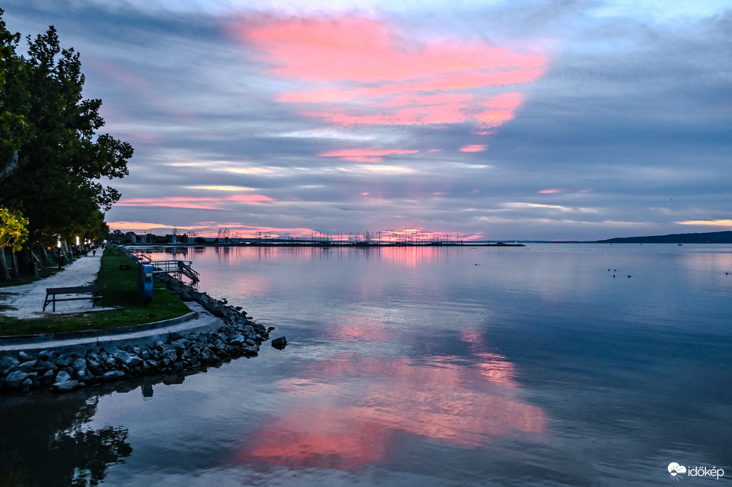 Magenta szinű pillangó volt az esti ajándék 