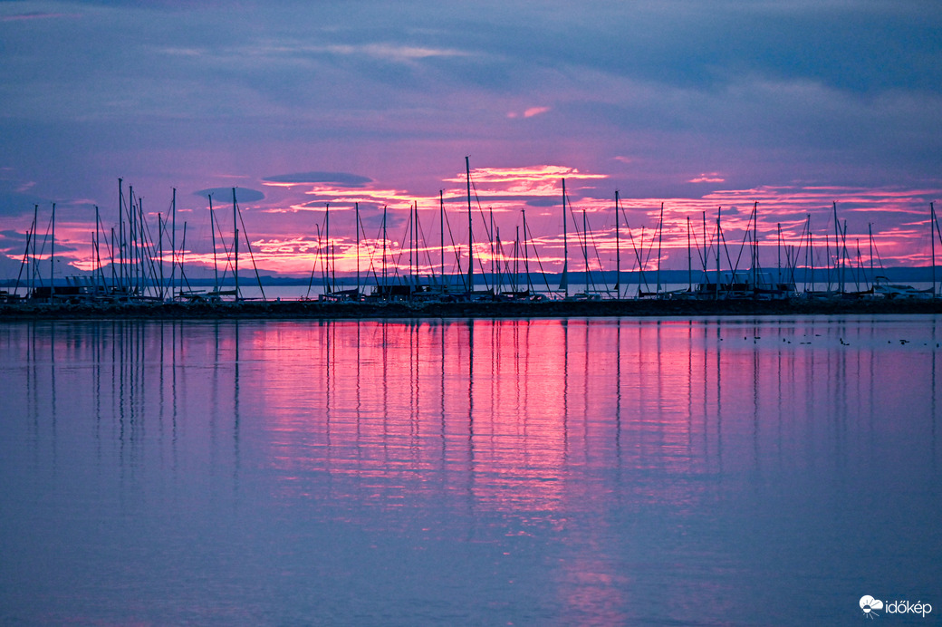 Magenta színű búcsú